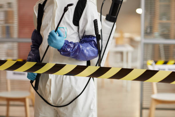 Professional Sewage Cleanup technician working in Urbana, MD
